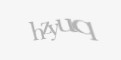 Защитный код