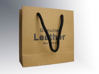 Bag-1
